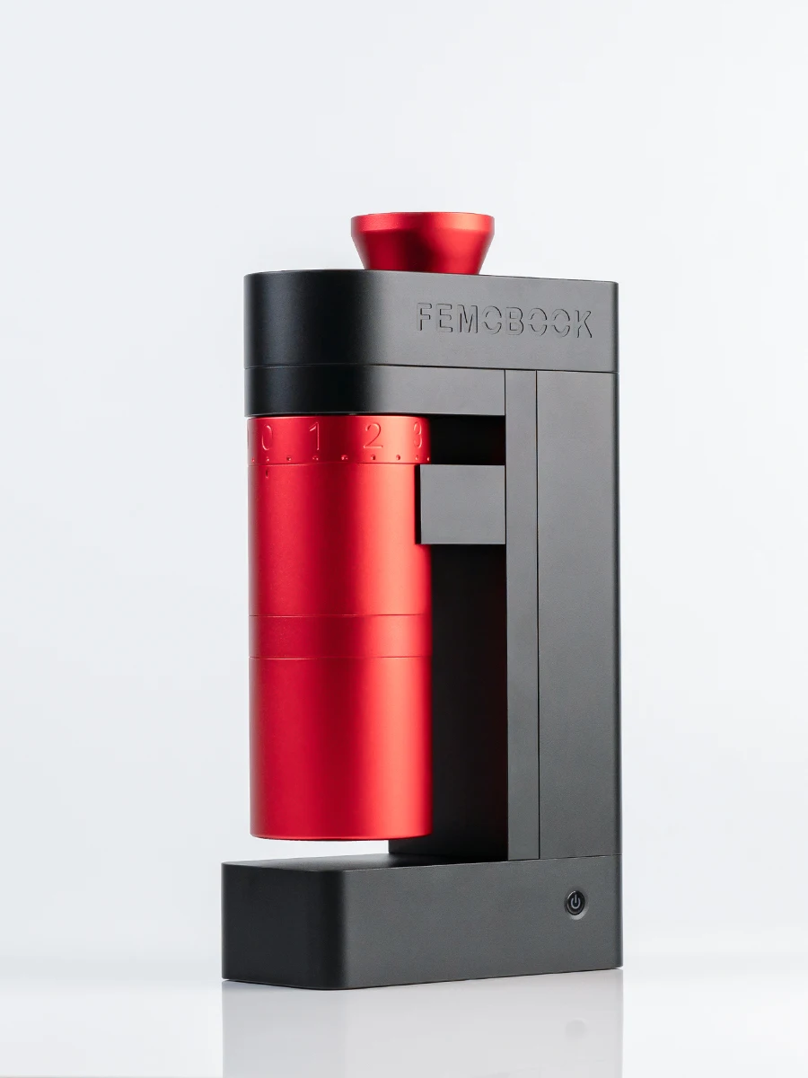 Coffee Bean Grinder Electric - Macinacaffè elettrico FEMOOK A5, chicchi di