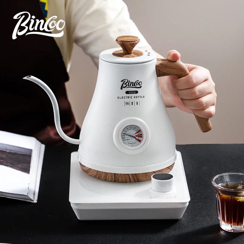 Bincoo Bollitore Elettrico Int - Electric Kettle Temperature Control recensione e prezzo