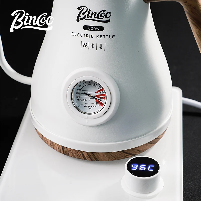Bincoo Bollitore Elettrico Int - Electric Kettle Temperature Control recensione e prezzo