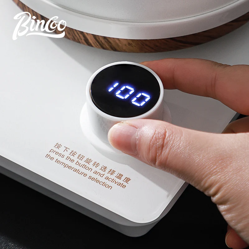 Bincoo Bollitore Elettrico Int - Electric Kettle Temperature Control recensione e prezzo